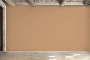 V401 Глаз тигра