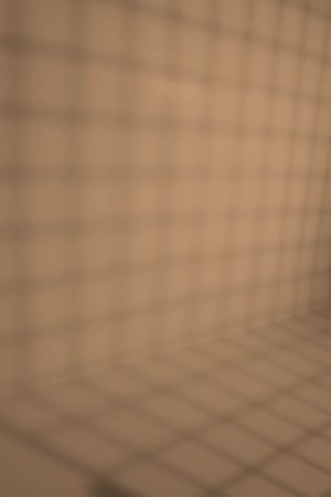 V401 Глаз тигра