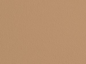 V401 Глаз тигра