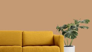 V401 Глаз тигра