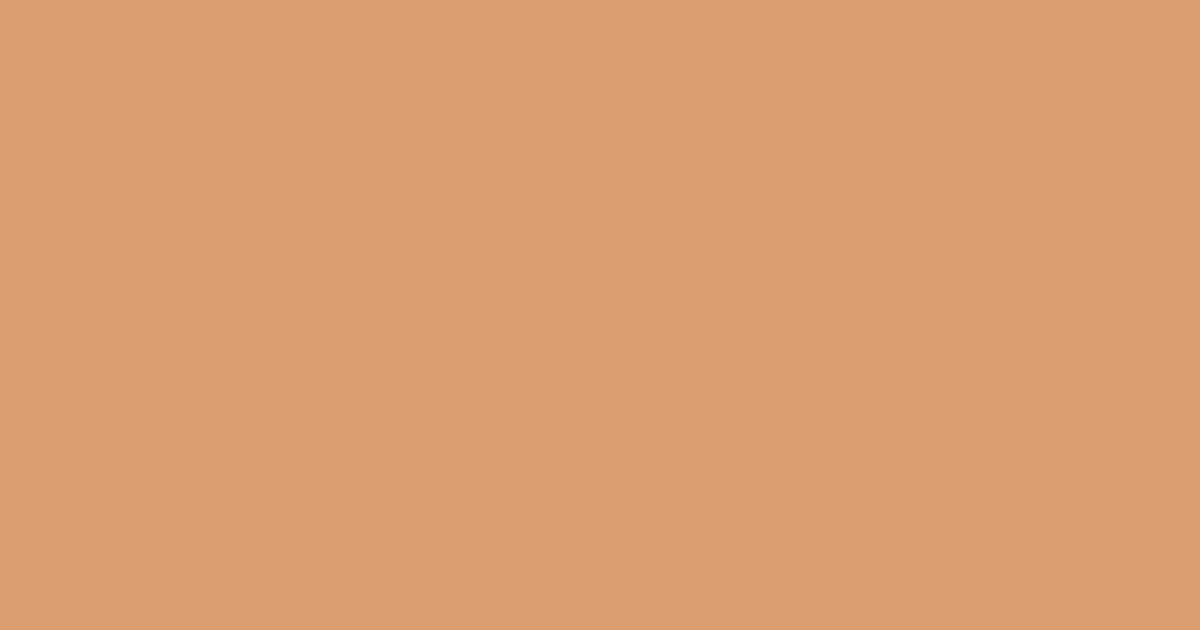 Колір K403 rgb(219, 158, 112)