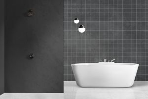 Y493 Черный дрозд