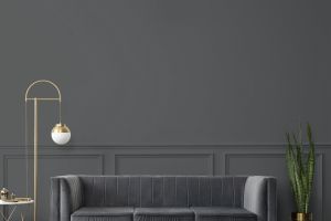 Y493 Черный дрозд