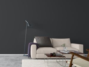 Y493 Черный дрозд