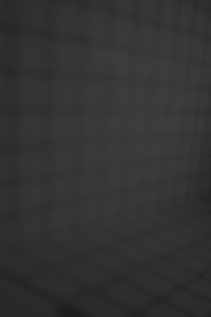 Y493 Черный дрозд