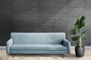 Y493 Черный дрозд