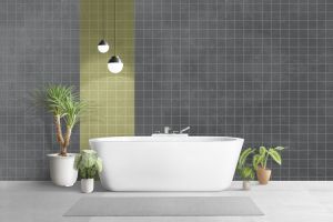 Y493 Черный дрозд