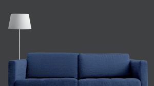 Y493 Черный дрозд