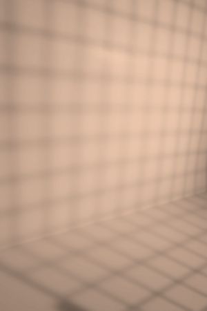 X404