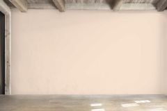 Y404