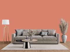 K411