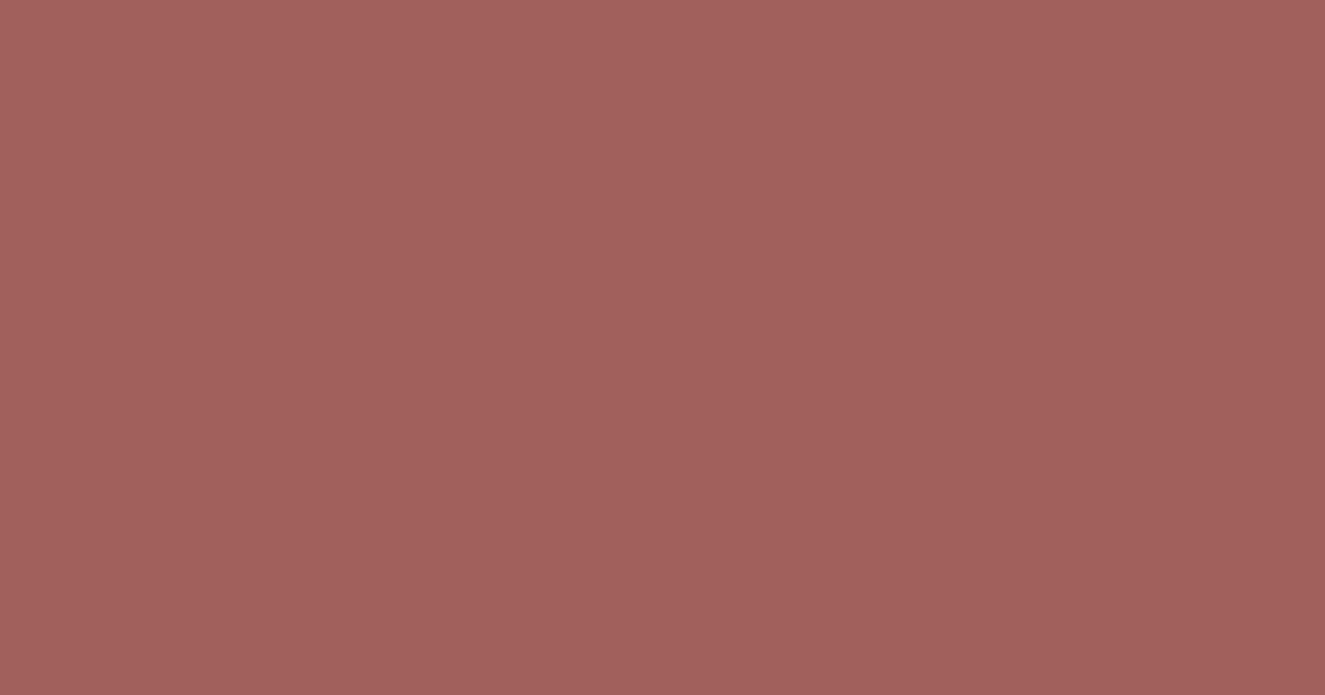 Колір K417 rgb(161, 96, 92)