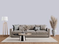 RAL 170-1