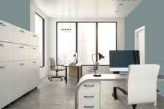 L439