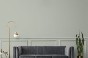 V447 Серпенит