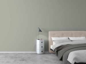 V447 Серпенит