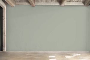 V447 Серпенит