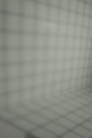 V447 Серпенит