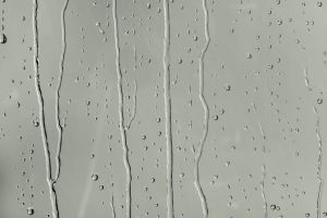 V447 Серпенит