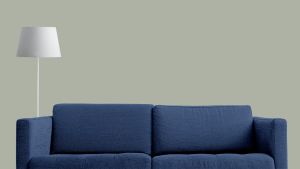 V447 Серпенит