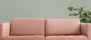 V447 Серпенит