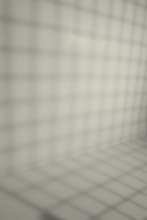 X450 Странствие