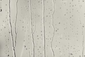 X450 Странствие