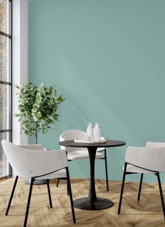 V443
