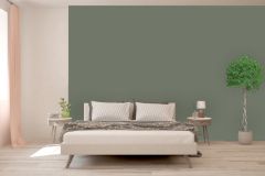 N446