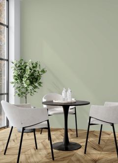 J447