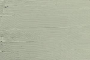 J447