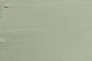 J448