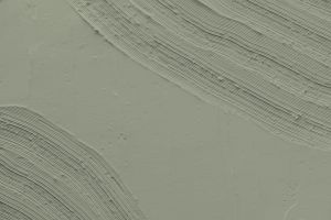 J448