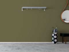 N450