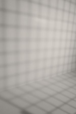 G486 Попутный ветер