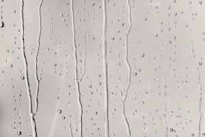 G486 Попутный ветер