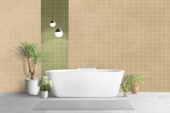 V456