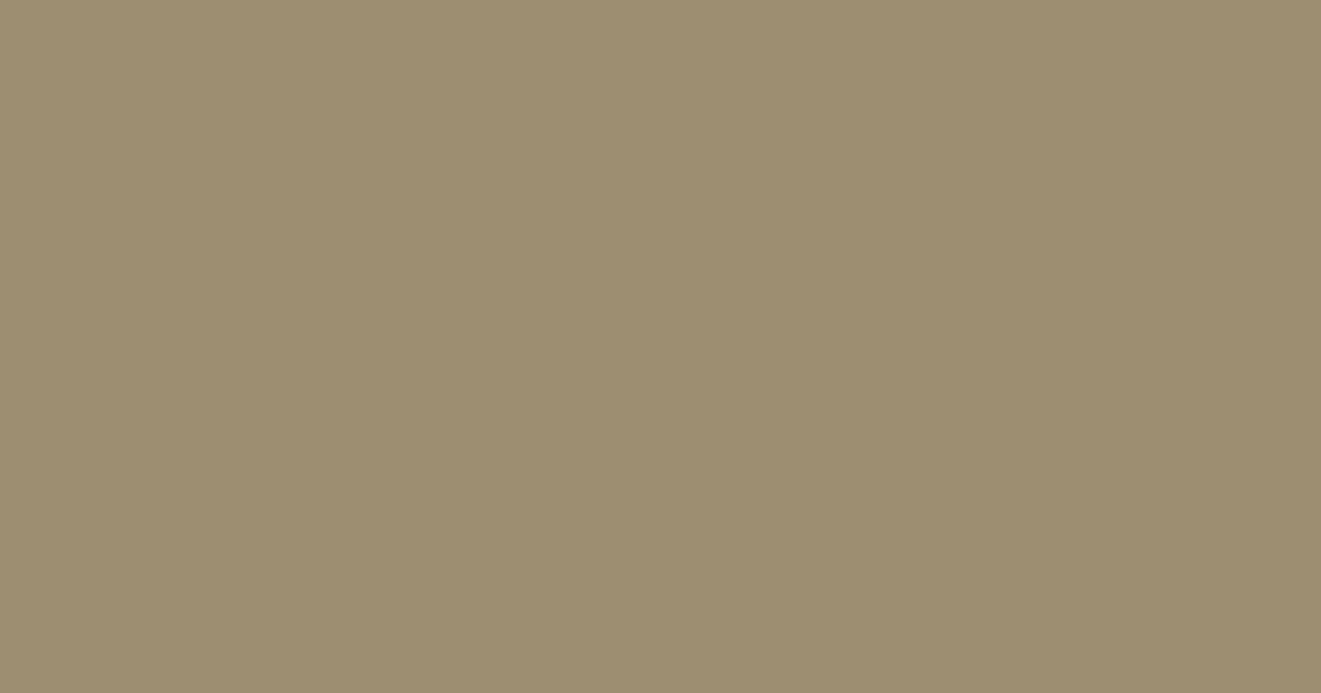 Колір V457 rgb(157, 142, 114)