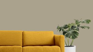 S458 Марказит