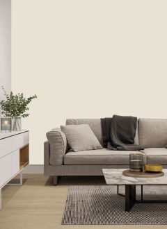 Y459