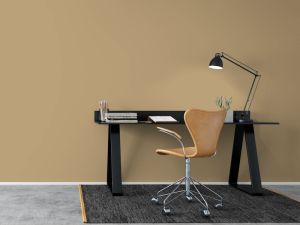 J460