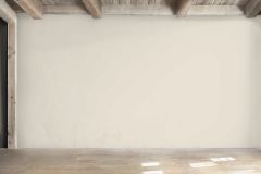 Y460