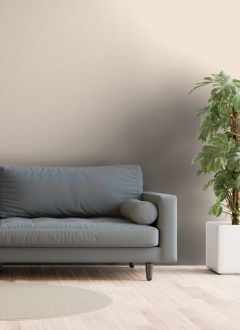 Y461