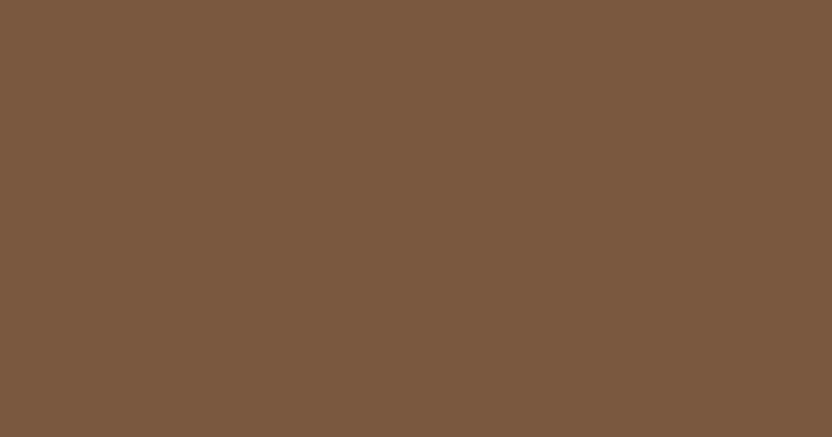 Колір M463 rgb(121, 88, 63)