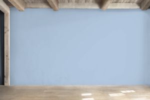 H353 Незабудка