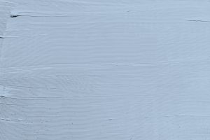 H353 Незабудка