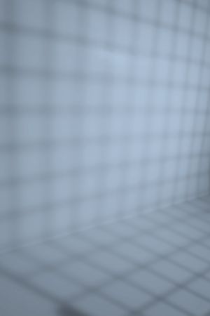 H353 Незабудка