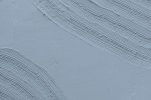 H353 Незабудка