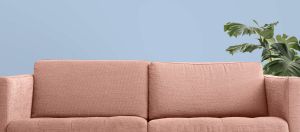 H353 Незабудка