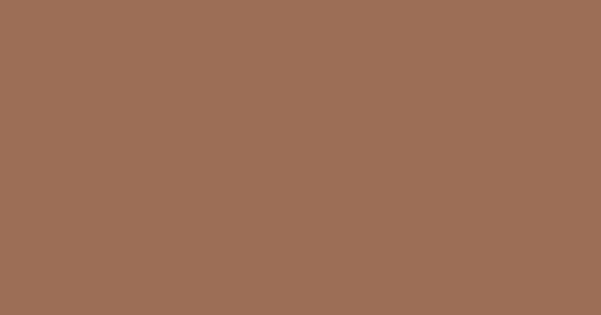 Колір S470 rgb(156, 110, 85)